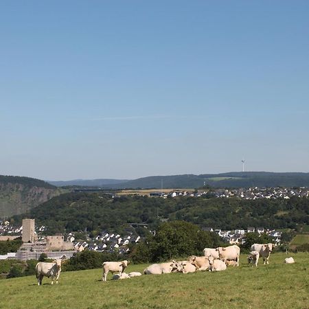 Ferienwohnung Auf Der Moselhoehe - Naehe Koblenz Und Cochem 迪布利希 外观 照片