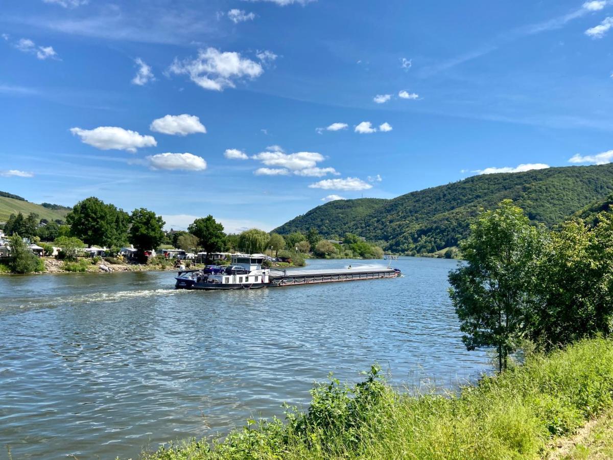 Ferienwohnung Auf Der Moselhoehe - Naehe Koblenz Und Cochem 迪布利希 外观 照片