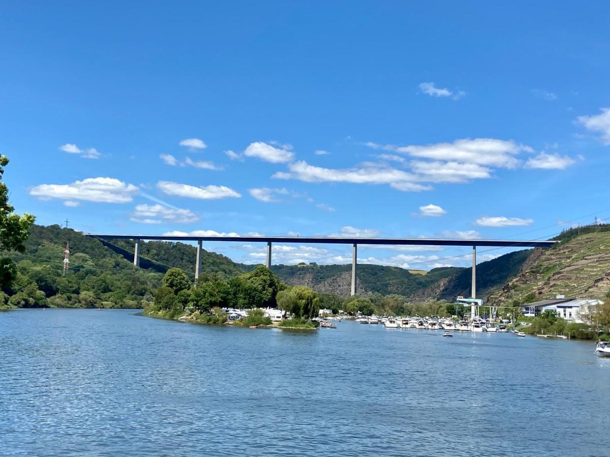 Ferienwohnung Auf Der Moselhoehe - Naehe Koblenz Und Cochem 迪布利希 外观 照片