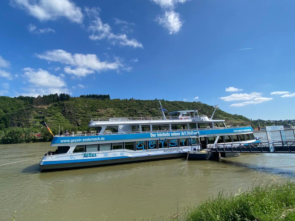 Ferienwohnung Auf Der Moselhoehe - Naehe Koblenz Und Cochem 迪布利希 外观 照片