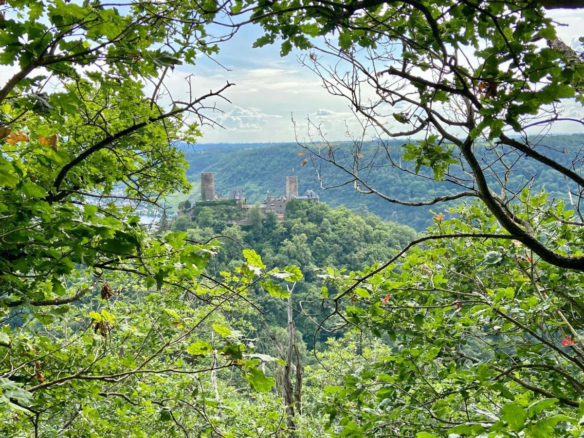 Ferienwohnung Auf Der Moselhoehe - Naehe Koblenz Und Cochem 迪布利希 外观 照片
