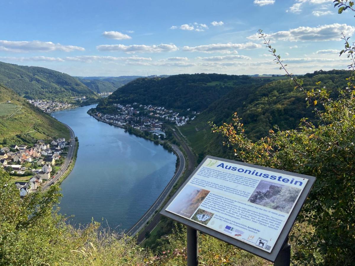 Ferienwohnung Auf Der Moselhoehe - Naehe Koblenz Und Cochem 迪布利希 外观 照片