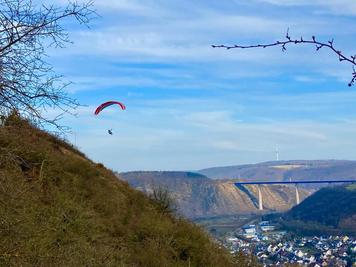 Ferienwohnung Auf Der Moselhoehe - Naehe Koblenz Und Cochem 迪布利希 外观 照片