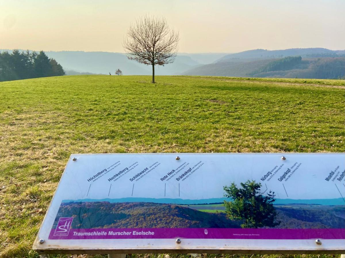 Ferienwohnung Auf Der Moselhoehe - Naehe Koblenz Und Cochem 迪布利希 外观 照片