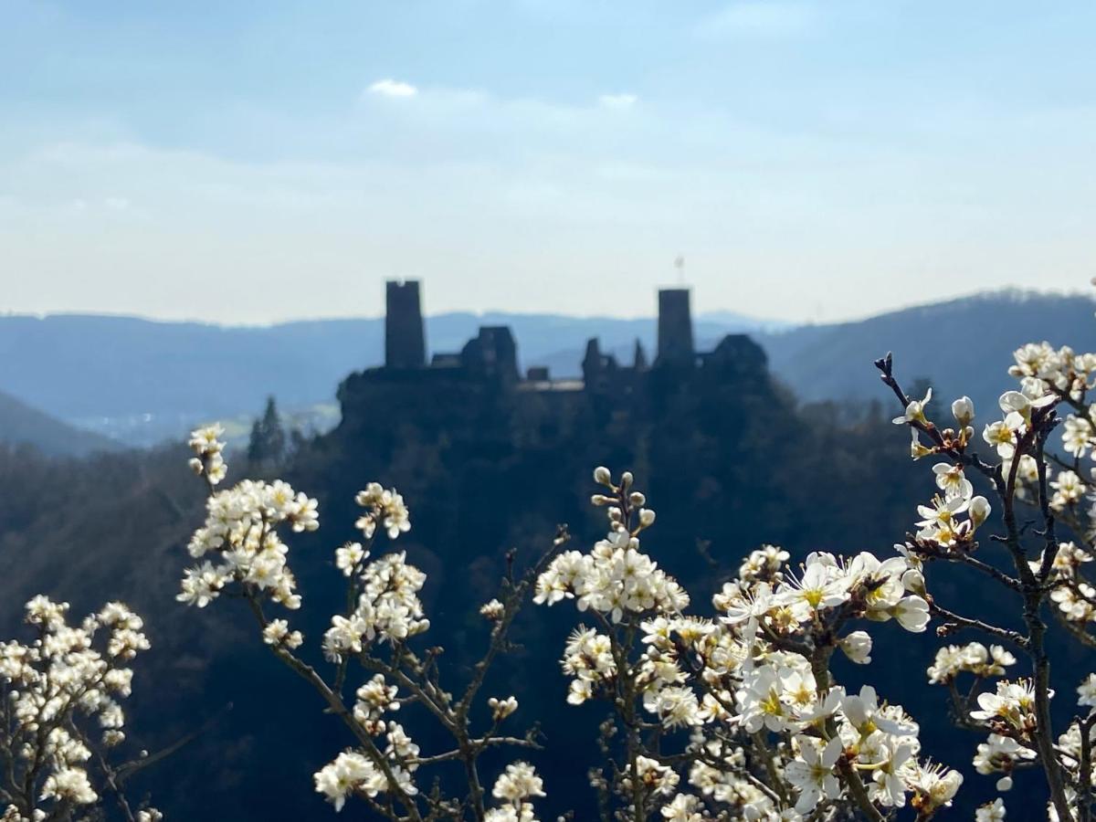 Ferienwohnung Auf Der Moselhoehe - Naehe Koblenz Und Cochem 迪布利希 外观 照片