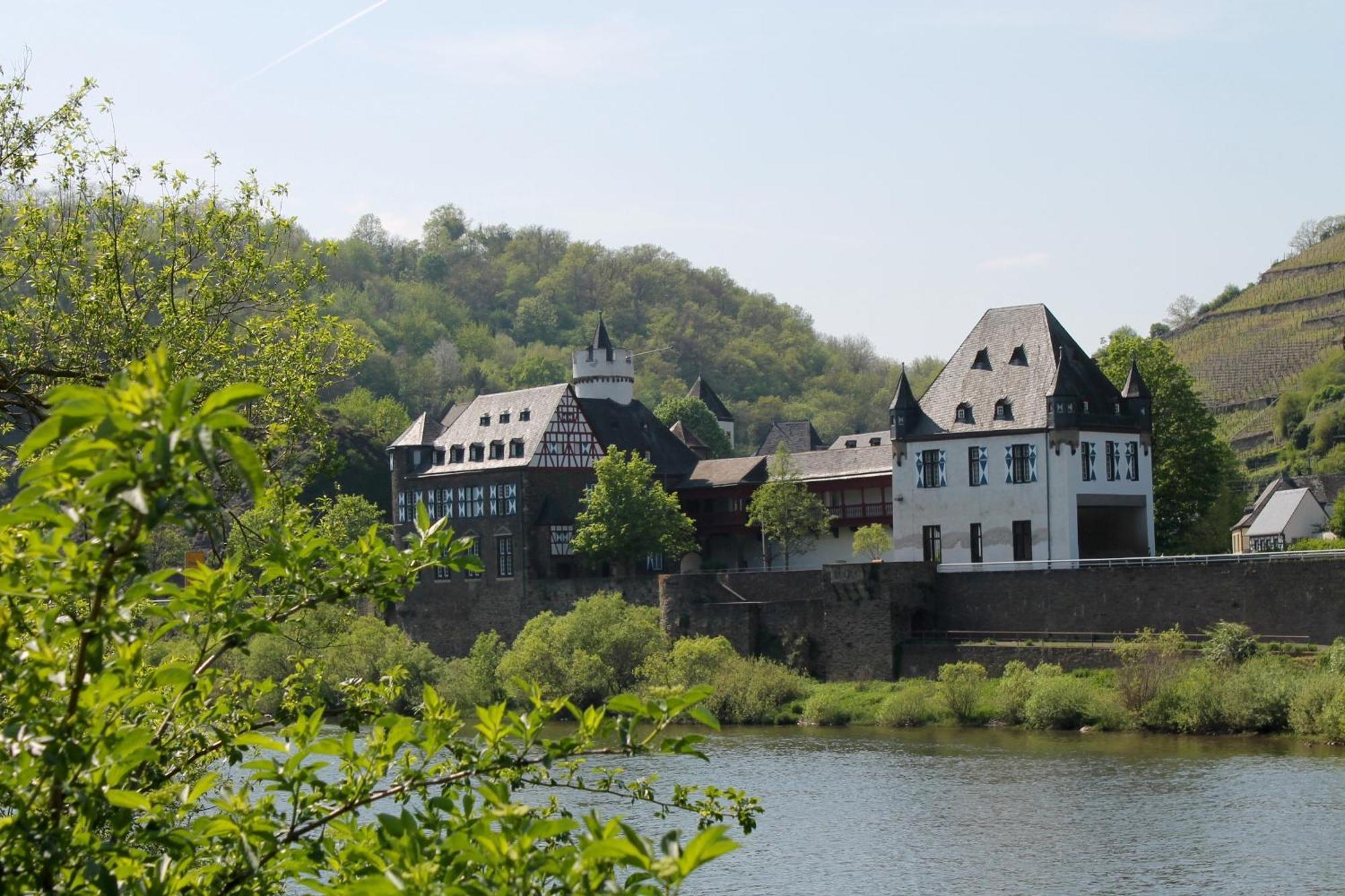 Ferienwohnung Auf Der Moselhoehe - Naehe Koblenz Und Cochem 迪布利希 外观 照片