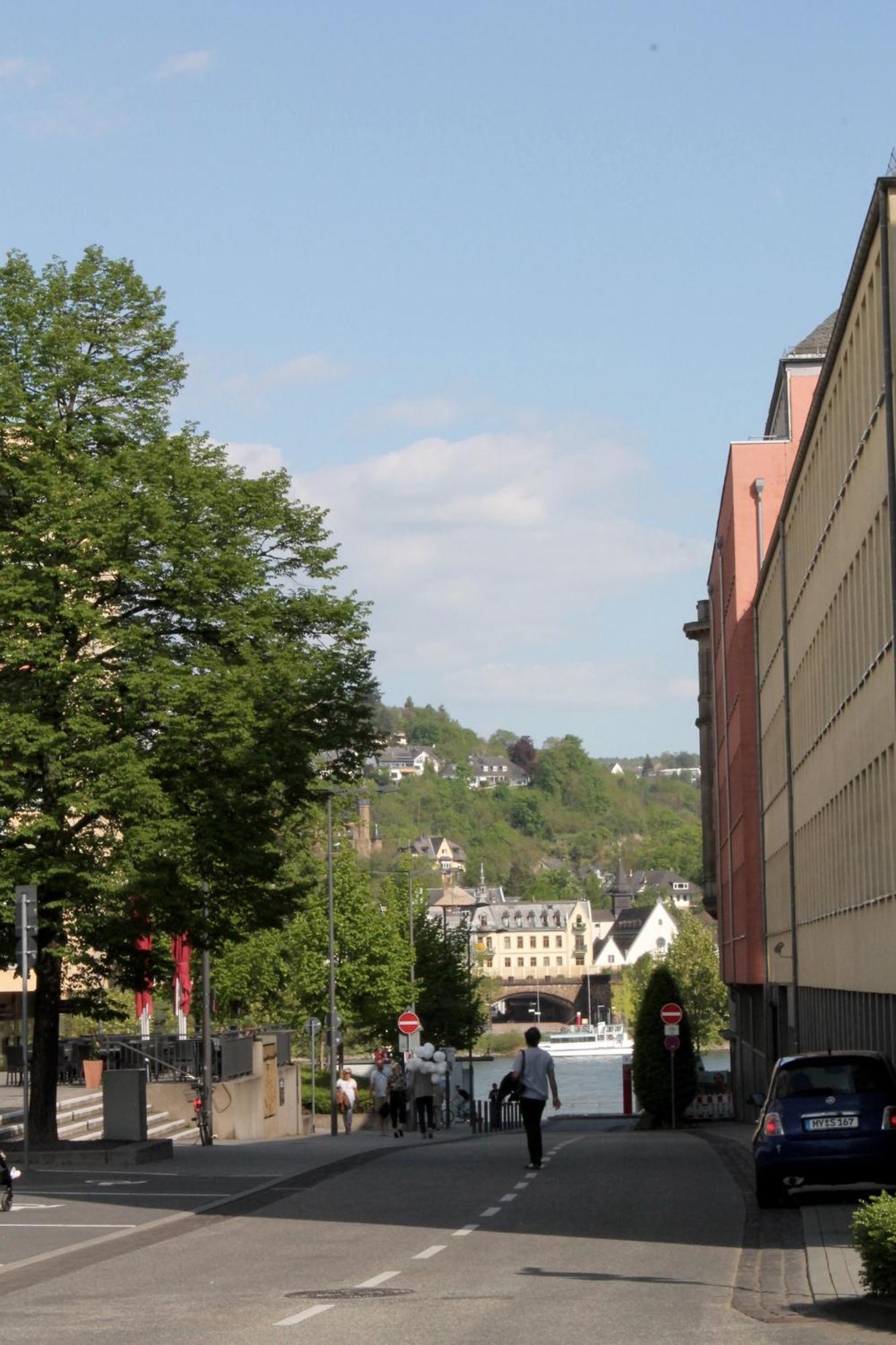 Ferienwohnung Auf Der Moselhoehe - Naehe Koblenz Und Cochem 迪布利希 外观 照片