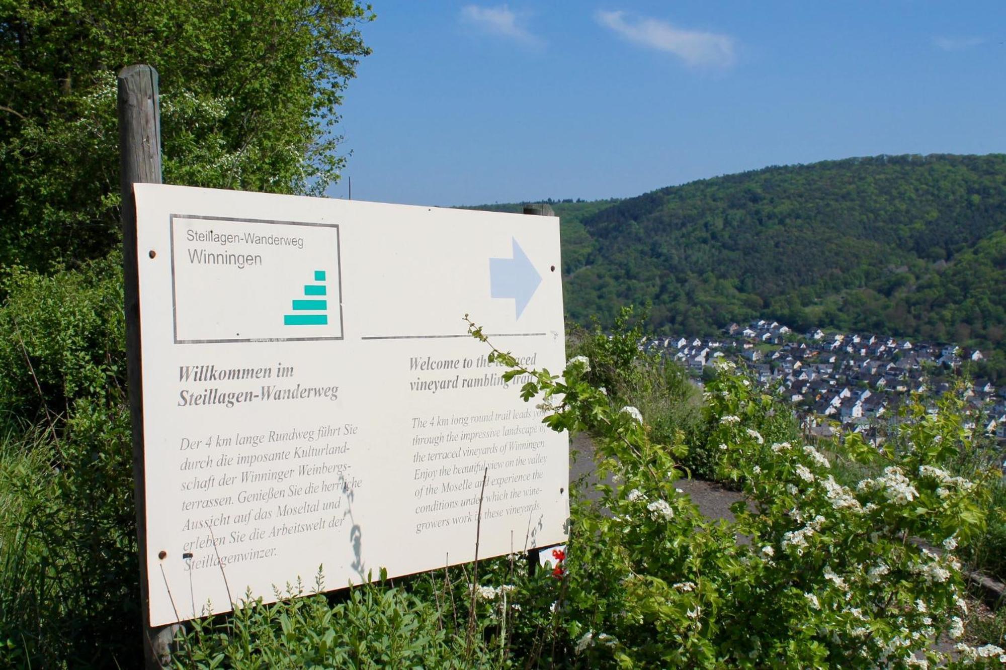 Ferienwohnung Auf Der Moselhoehe - Naehe Koblenz Und Cochem 迪布利希 外观 照片