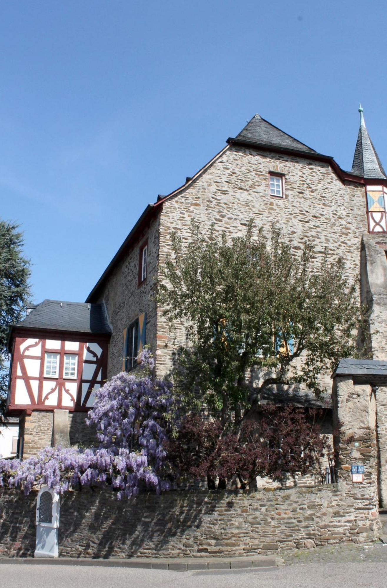 Ferienwohnung Auf Der Moselhoehe - Naehe Koblenz Und Cochem 迪布利希 外观 照片