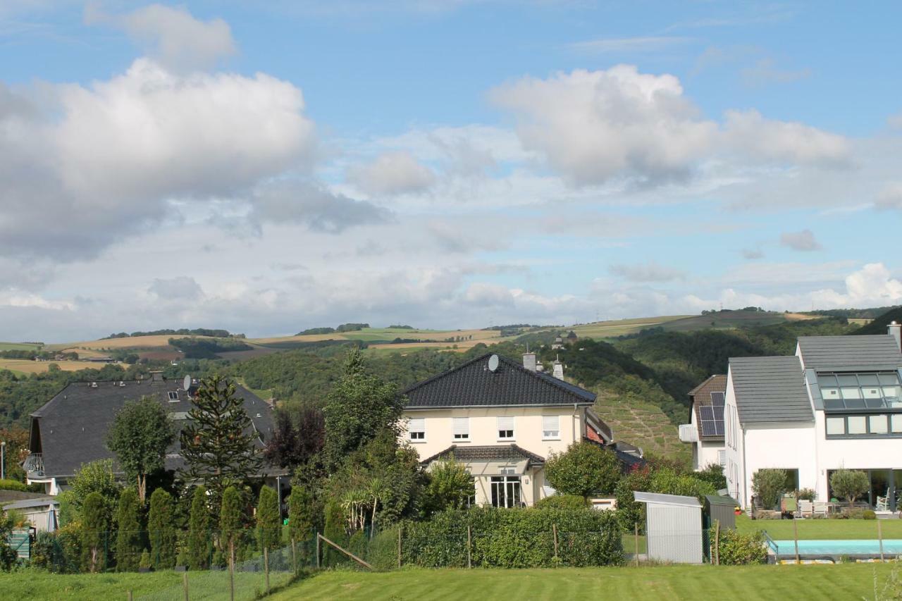 Ferienwohnung Auf Der Moselhoehe - Naehe Koblenz Und Cochem 迪布利希 外观 照片