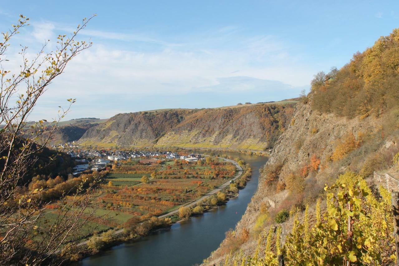 Ferienwohnung Auf Der Moselhoehe - Naehe Koblenz Und Cochem 迪布利希 外观 照片