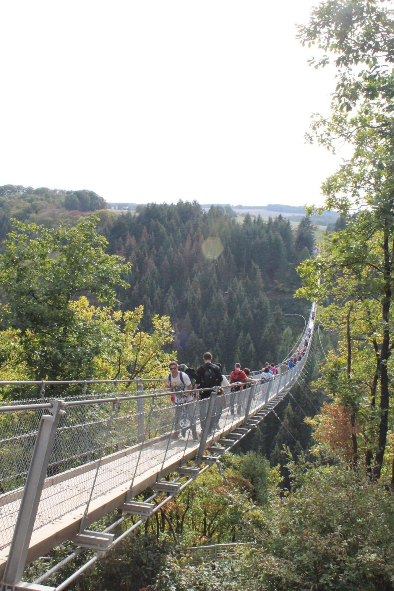 Ferienwohnung Auf Der Moselhoehe - Naehe Koblenz Und Cochem 迪布利希 外观 照片