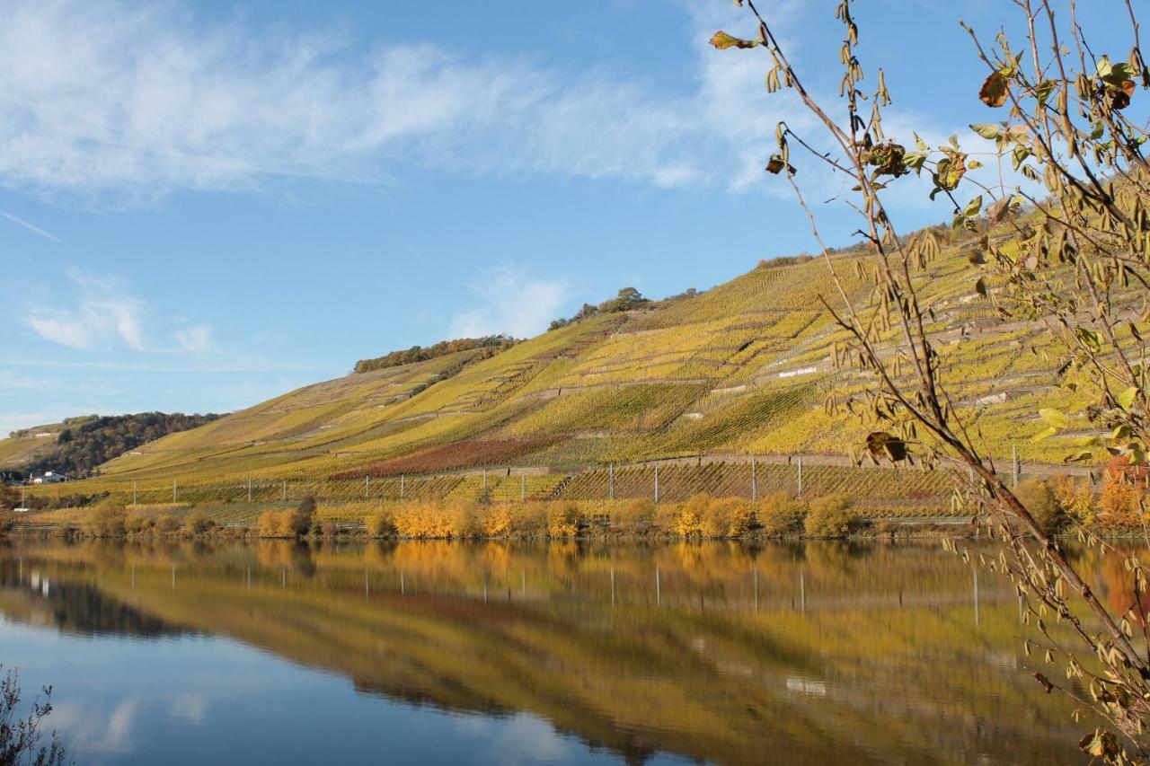 Ferienwohnung Auf Der Moselhoehe - Naehe Koblenz Und Cochem 迪布利希 外观 照片