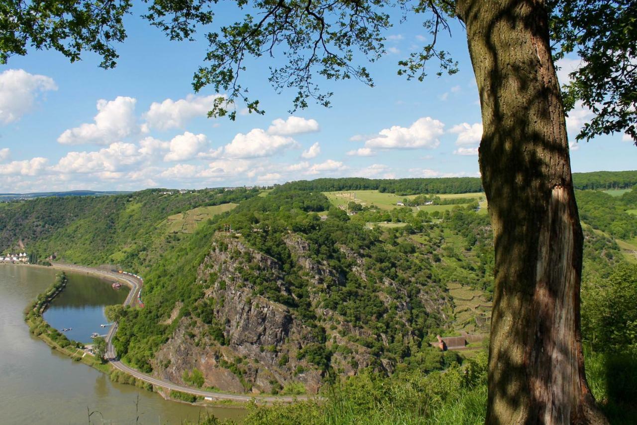 Ferienwohnung Auf Der Moselhoehe - Naehe Koblenz Und Cochem 迪布利希 外观 照片
