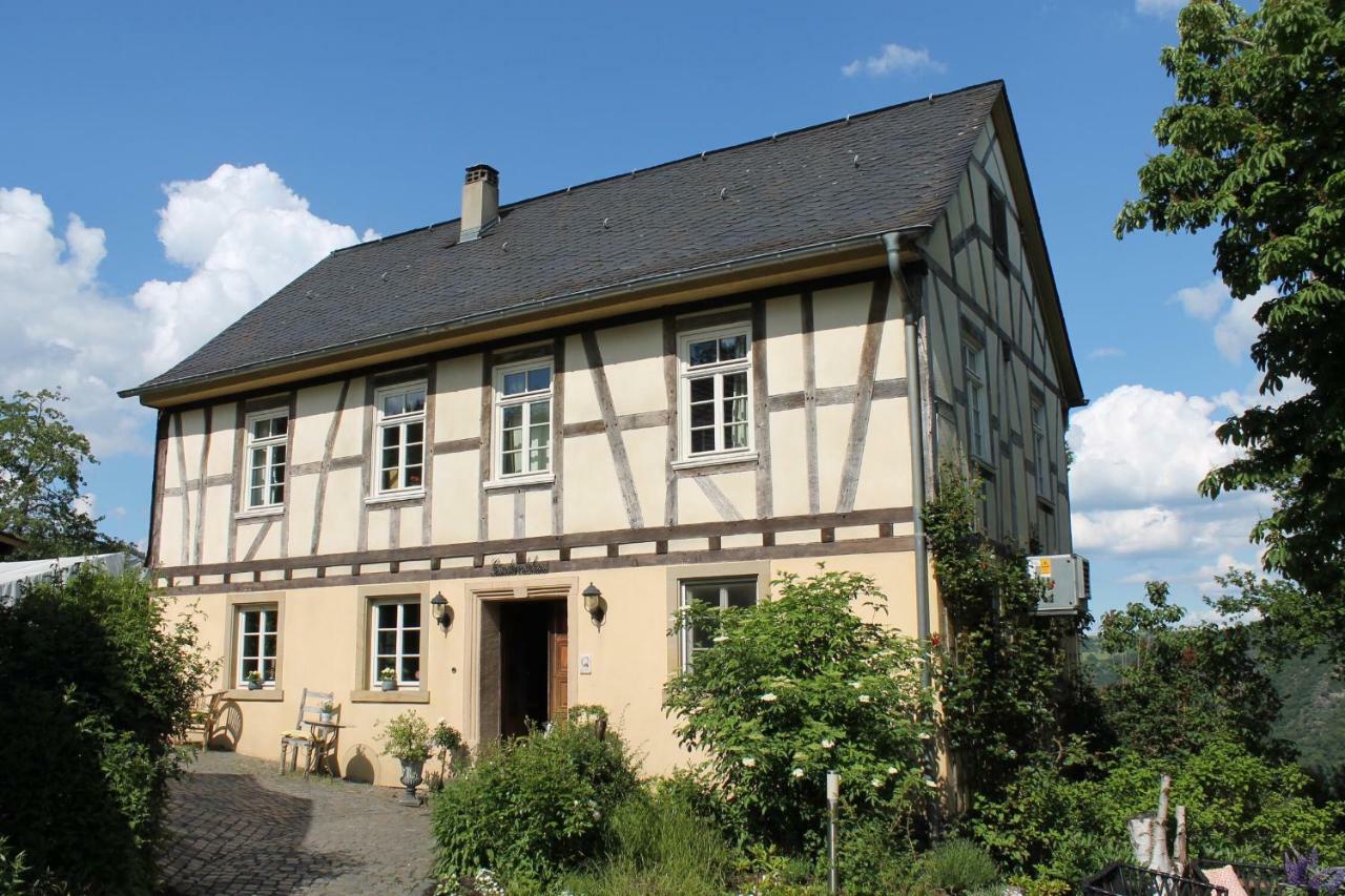 Ferienwohnung Auf Der Moselhoehe - Naehe Koblenz Und Cochem 迪布利希 外观 照片
