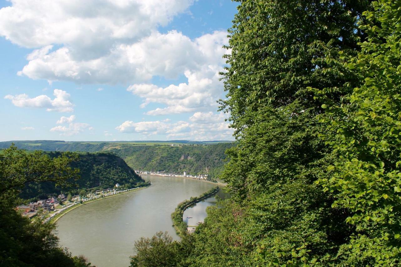 Ferienwohnung Auf Der Moselhoehe - Naehe Koblenz Und Cochem 迪布利希 外观 照片